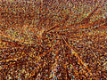 5mm Sequins on a Stretch Velvet 2-Way Stretch Sold By The Yard. Clear Orange Iridescent
