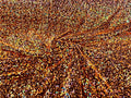 5mm Sequins on a Stretch Velvet 2-Way Stretch Sold By The Yard. Clear Orange Iridescent For Prom Dress Evening Wedding Bridal Gowns