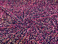5mm Sequins on a Stretch Velvet 2-Way Stretch Sold By The Yard. Clear Fuchsia Gold