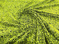 5mm Sequins on a Stretch Velvet 2-Way Stretch Sold By The Yard. Neon Green For Prom Dress Evening Wedding Bridal Gowns