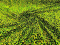 5mm Sequins on a Stretch Velvet 2-Way Stretch Sold By The Yard. Neon Green Iridescent For Prom Dress Evening Wedding Bridal Gowns